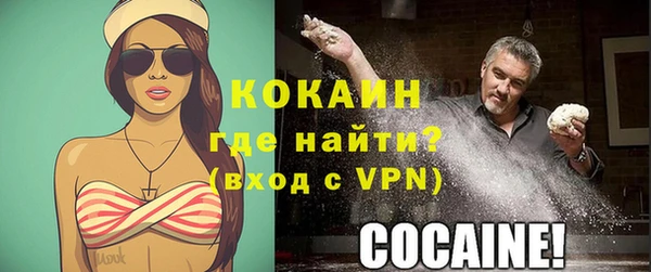 шишки Новозыбков