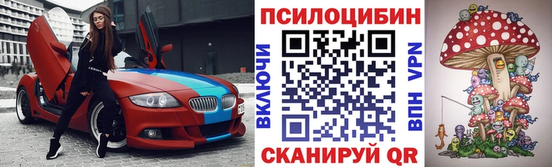 Галлюциногенные грибы мухоморы  Юрьев-Польский 