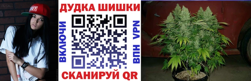 дарнет шоп Юрьев-Польский Шишки марихуана ГИДРОПОН